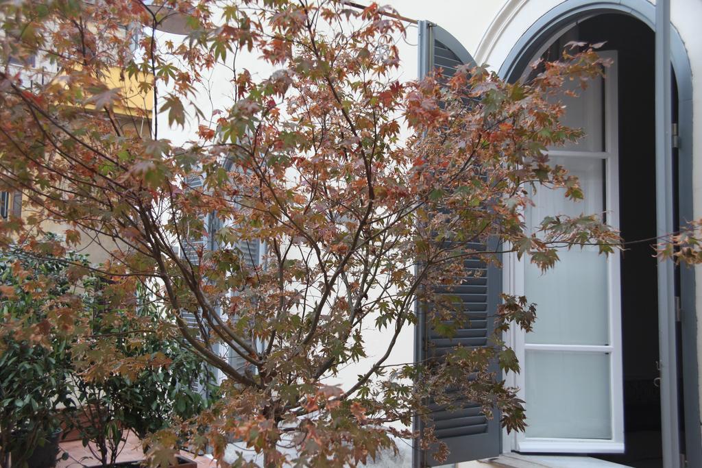 Mia Bb Bed & Breakfast Rome Exterior photo